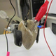 Illustration for article titled Vampiric Implants Siphon Clam Essence for Electrical Power